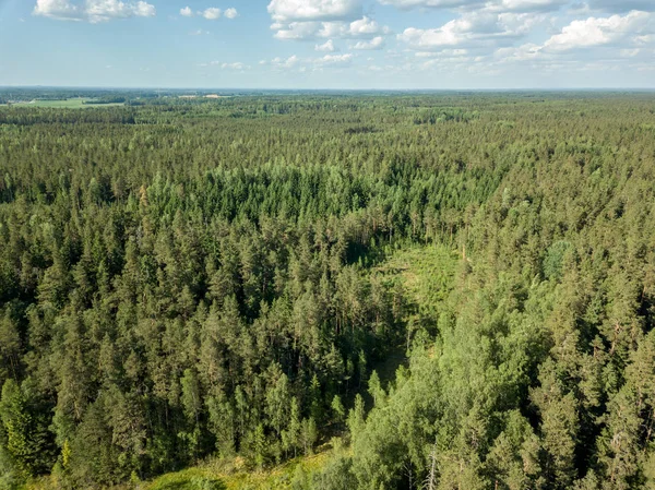 Drone Kép Légi Felvétel Vidék Mezők Erdők Felhős Tavasz Lettország — Stock Fotó