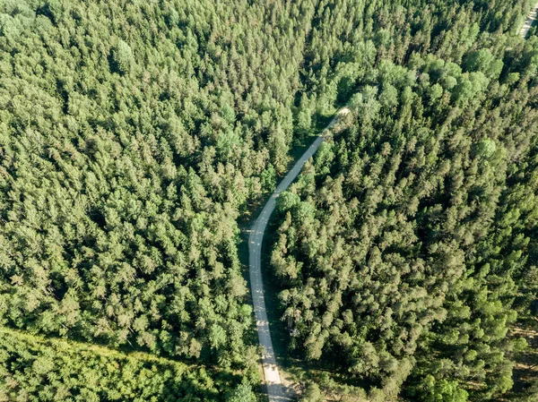 Imagen Del Dron Camino Grava Rodeado Bosque Pinos Desde Arriba —  Fotos de Stock