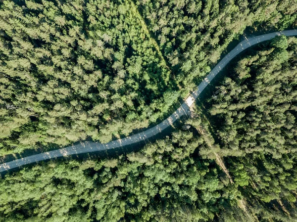 Drone Görüntü Çakıl Yol Çam Ormanı Yukarıdan Çevrili Yaz Kırsal — Stok fotoğraf