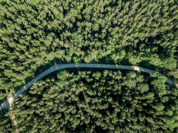 drone image. gravel road surrounded by pine forest from above. summer countryside in Latvia