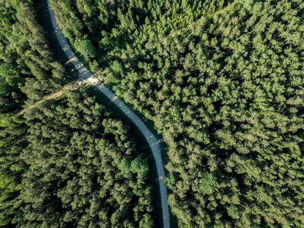 Drone Image Gravel Road Surrounded Pine Forest Summer Countryside Latvia — Stock Photo, Image