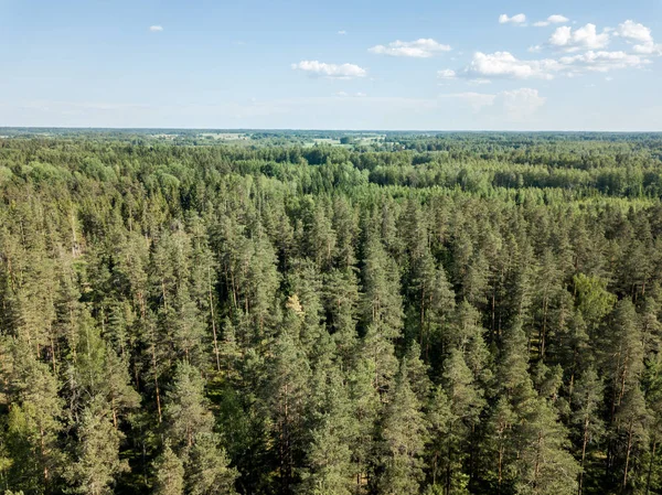 Drone görüntü. alanları ve bulutlu bahar günü ormanlarda kırsal alan hava görünümünü. Letonya