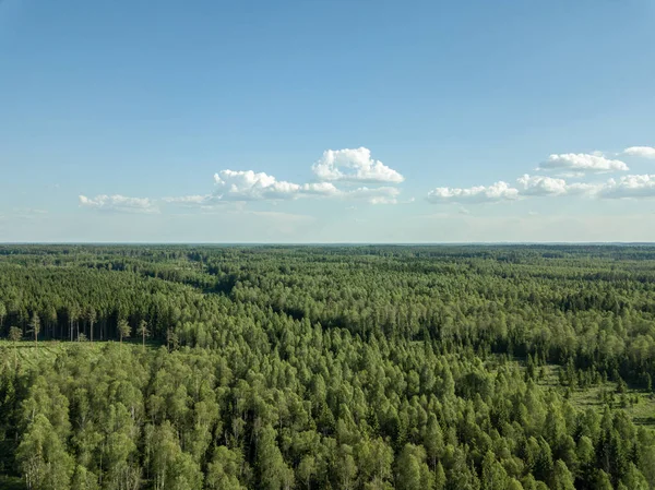 stock image drone image. aerial view of rural area with fields and forests in cloudy spring day. latvia