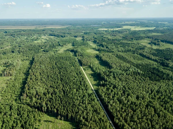 drone image. gravel road surrounded by pine forest from above. summer countryside in Latvia