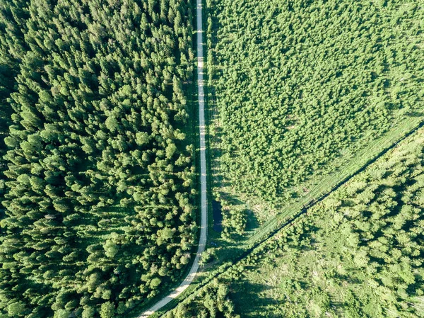 Imagem Drone Estrada Cascalho Cercada Por Floresta Pinheiro Cima Campo — Fotografia de Stock