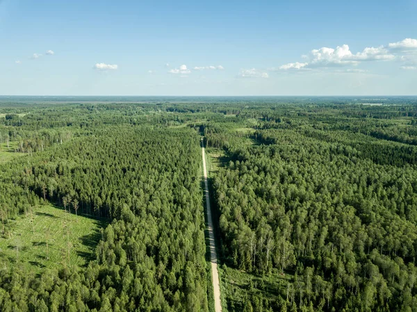 Drone Kép Murvás Úton Fenti Fenyvesekkel Körülvéve Nyári Vidéken Lettország — Stock Fotó