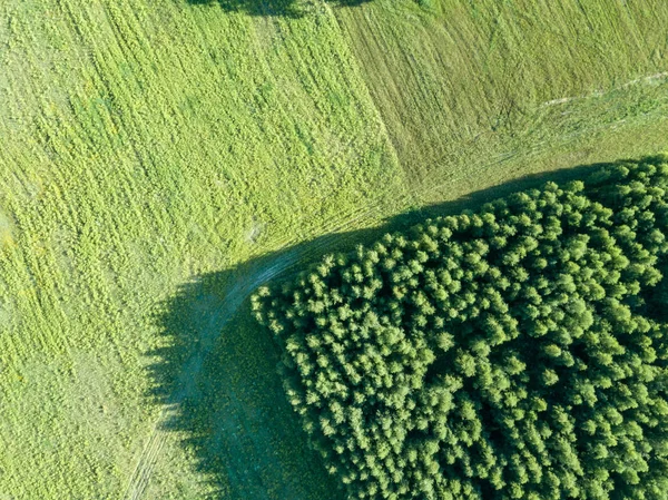 drone image. aerial view of empty cultivated fields  spring day. latvia