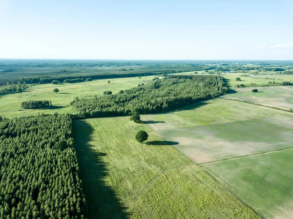 Drone Image Aerial View Empty Cultivated Fields Spring Day Latvia — Stock Photo, Image