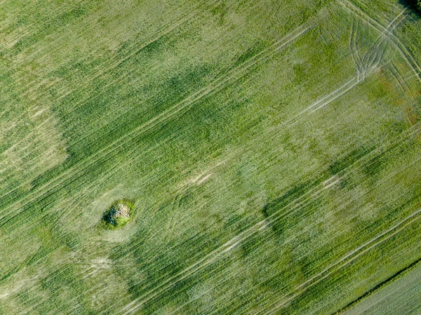 Afbeelding Van Drone Luchtfoto Van Lege Akkers Lente Letland — Stockfoto