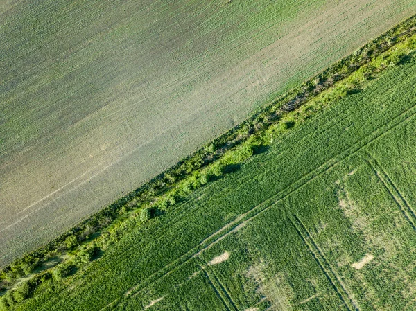 Imagen Del Dron Vista Aérea Red Carreteras Rurales Campos Cultivados — Foto de Stock