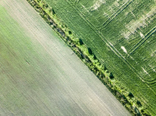 Drony Obrázek Letecký Pohled Krajinu Silniční Sítě Obdělaných Polí Lesů — Stock fotografie