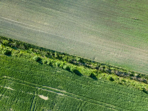 Κηφήνας Εικόνα Αεροφωτογραφία Της Υπαίθρου Οδικό Δίκτυο Καλλιεργημένα Χωράφια Και — Φωτογραφία Αρχείου