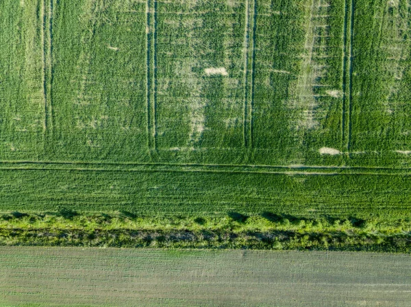 Afbeelding Van Drone Luchtfoto Van Platteland Wegennet Akkers Bos Texturen — Stockfoto