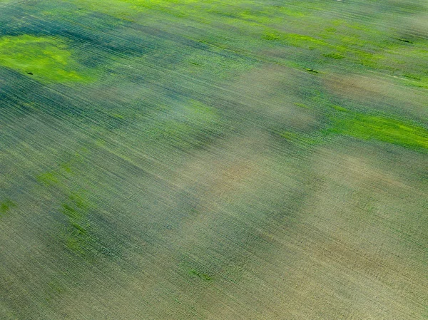 Drohnenbild Luftaufnahme Leerer Felder Frühlingstag Lettland — Stockfoto