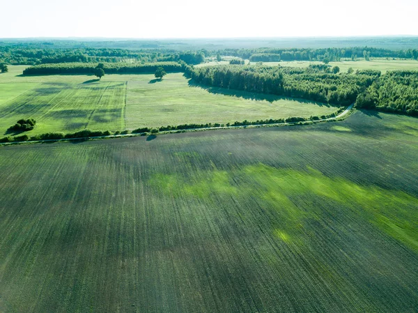Drone Image Aerial View Empty Cultivated Fields Spring Day Latvia — Stock Photo, Image
