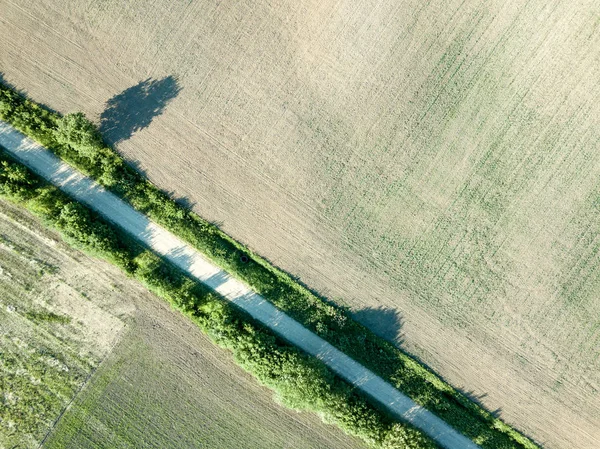 drone görüntü. havadan görünümü kırsal karayolu ağı, ekili alanlar ve orman dokular. Letonya