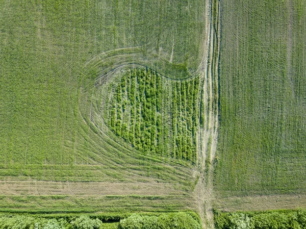 Immagine Del Drone Vista Aerea Della Rete Stradale Campagna Campi — Foto Stock