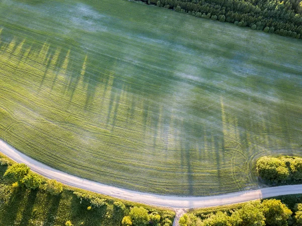 Imagen Del Dron Vista Aérea Red Carreteras Rurales Campos Cultivados — Foto de Stock