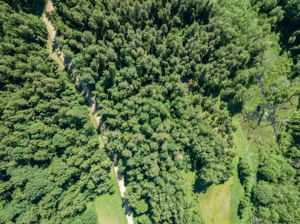 Imagem Drone Estrada Cascalho Cercada Por Floresta Pinheiro Cima Campo — Fotografia de Stock