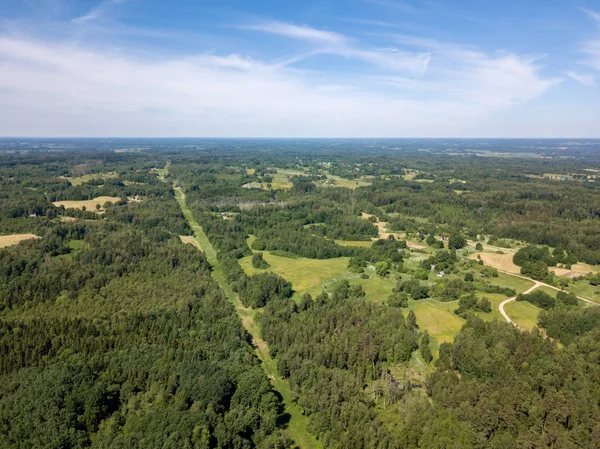 Drone Bild Grusvägen Omgivet Tallskog Från Ovan Sommaren Landsbygden Lettland — Stockfoto