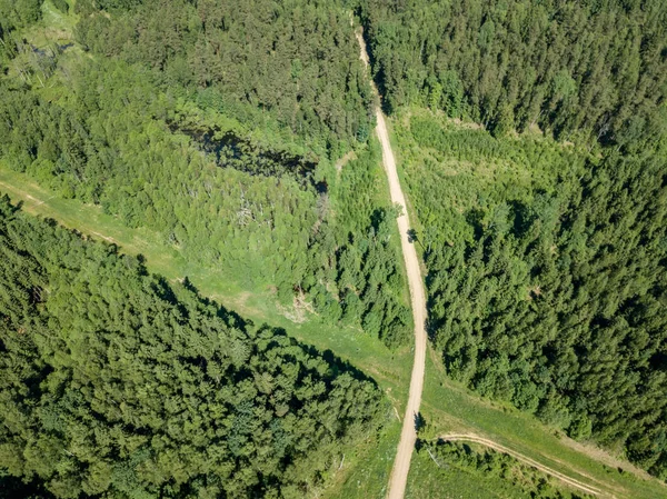 Drone Image Gravel Road Surrounded Pine Forest Summer Countryside Latvia — Stock Photo, Image