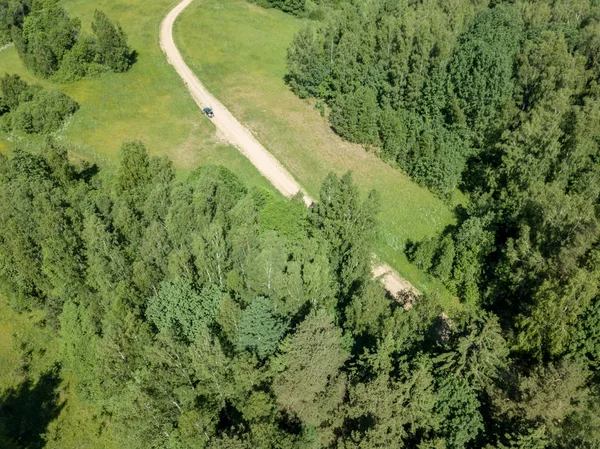 Immagine Del Drone Strada Sterrata Circondata Pineta Dall Alto Campagna — Foto Stock