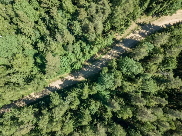 Drone Зображення Гравійної Дорозі Оточений Сосновим Лісом Зверху Літній Сільській — стокове фото