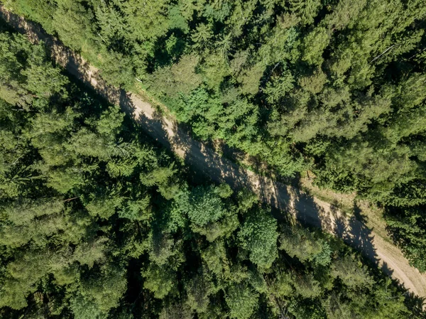 Drone Image Gravel Road Surrounded Pine Forest Summer Countryside Latvia — Stock Photo, Image
