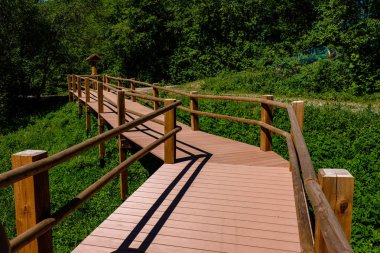 ağaçlar, alan ve güneş ışınlarının renkli yaz havada dinlenme ile yeşil çayır turist iz içinde ahşap tahta