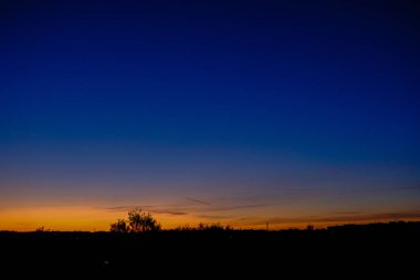 ormandaki sakin ülke yan ağaçlar üzerinde dramatik gündoğumu. Letonya