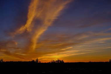 ormandaki sakin ülke yan ağaçlar üzerinde dramatik gündoğumu. Letonya