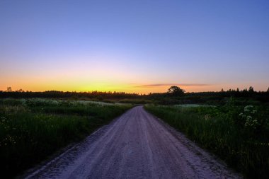 ormandaki sakin ülke yan ağaçlar üzerinde dramatik gündoğumu. Letonya