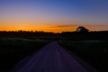 ormandaki sakin ülke yan ağaçlar üzerinde dramatik gündoğumu. Letonya