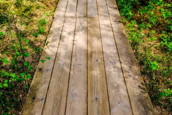 Dřevěná Promenáda Bažině Turistická Stezka Stromy Klidová Oblast Sluneční Paprsky — Stock fotografie
