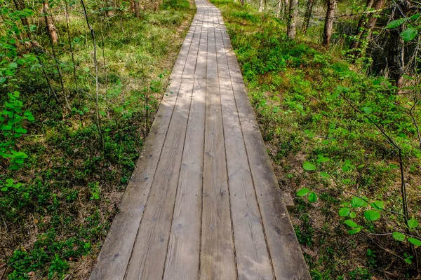 Kayu Boardwalk Jalan Wisata Rawa Dengan Pohon Area Peristirahatan Dan — Stok Foto