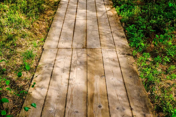 Promenade Bois Dans Sentier Touristique Marécageux Avec Arbres Aire Repos — Photo