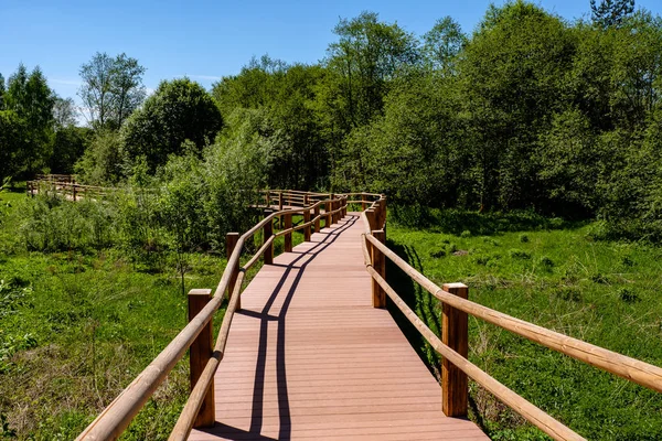Holzpromenade Auf Grüner Wiese Touristenpfad Mit Bäumen Rastplatz Und Sonnenstrahlen — Stockfoto