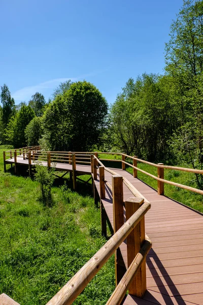 Drewniane Boardwalk Szlak Turystyczny Zielony Łąka Drzew Odpoczynku Promienie Kolorowy — Zdjęcie stockowe