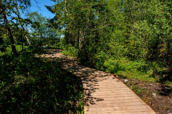 Houten Promenade Toeristische Route Van Groene Weide Met Bomen Rust — Stockfoto