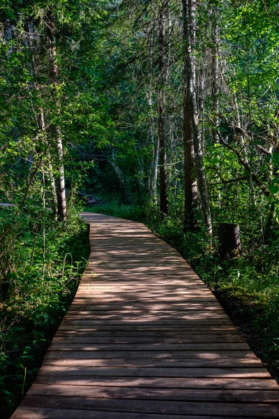 Wooden Boardwalk Green Meadow Tourist Trail Trees Resting Area Sun — Stock Photo, Image