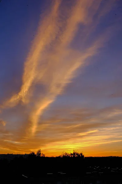 Spectaculaire Zonsopgang Boven Kalm Land Kant Bomen Het Bos Letland — Stockfoto