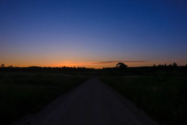 Alba Drammatica Sugli Alberi Tranquilli Campagna Nella Foresta Latvia — Foto Stock