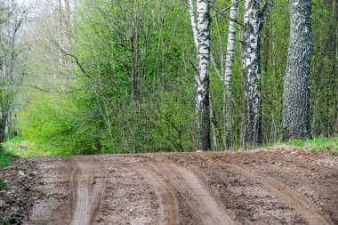 çamur ormanda yaz ısı perspektifte kırsalında iziyle boş çakıl yol