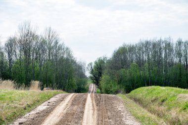 çamur ormanda yaz ısı perspektifte kırsalında iziyle boş çakıl yol