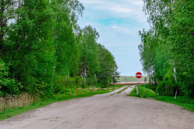 çamur ormanda yaz ısı perspektifte kırsalında iziyle boş çakıl yol