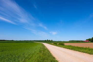 çamur ormanda yaz ısı perspektifte kırsalında iziyle boş çakıl yol