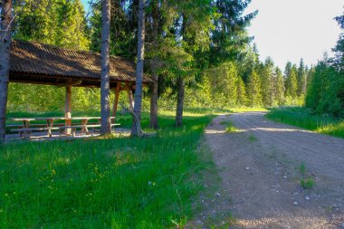 çamur ormanda yaz ısı perspektifte kırsalında iziyle boş çakıl yol