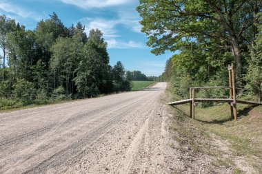 çamur ormanda yaz ısı perspektifte kırsalında iziyle boş çakıl yol