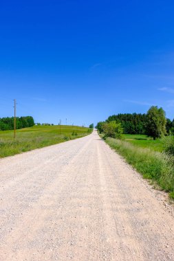 çamur ormanda yaz ısı perspektifte kırsalında iziyle boş çakıl yol
