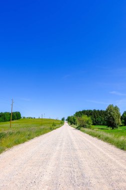 çamur ormanda yaz ısı perspektifte kırsalında iziyle boş çakıl yol